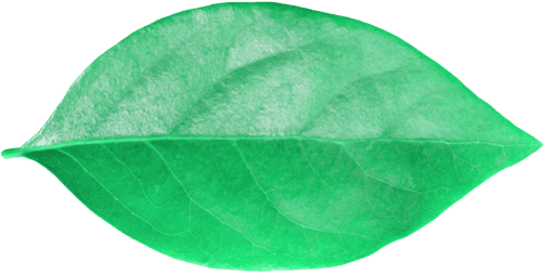 Cutout image
